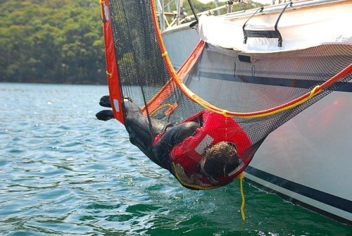 MOB caught in Scoopa net © SW